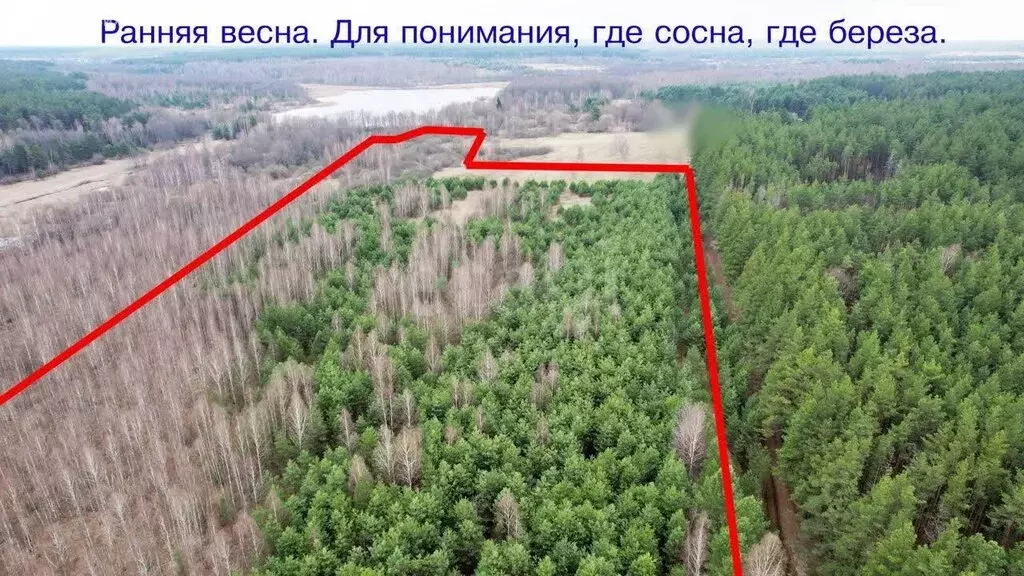 Участок в Хотынецкий район, Алехинское сельское поселение, деревня ... - Фото 2