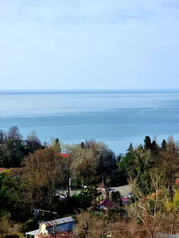 Дом в Краснодарский край, Сочи Сухумское ш., 185 (160 м) - Фото 1