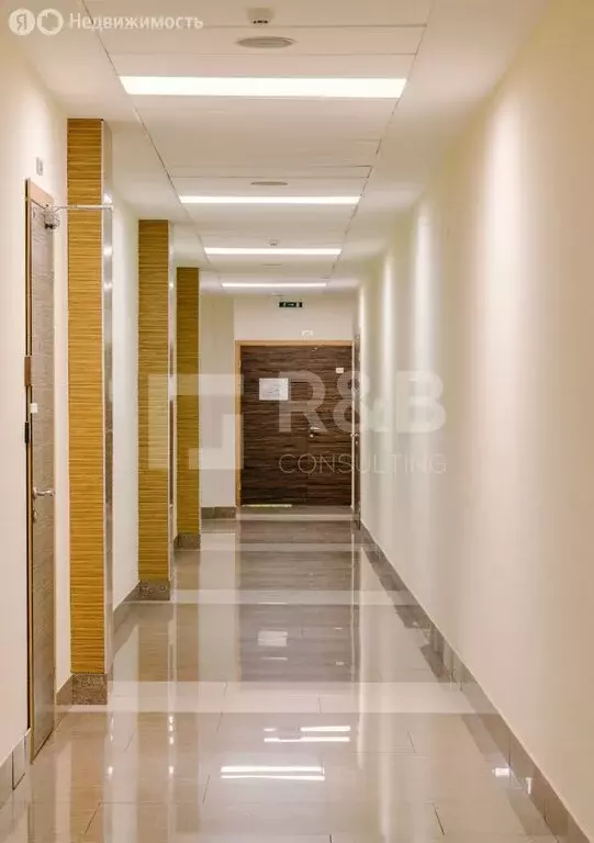 Офис (221.6 м) - Фото 2