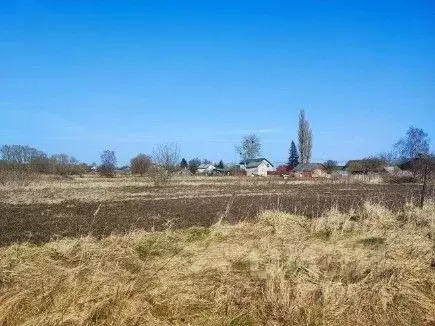 Участок в Калининградская область, Зеленоградский муниципальный округ, ... - Фото 1