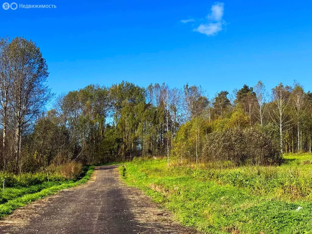 Участок в Московская область, Дмитровский муниципальный округ, КП ... - Фото 1