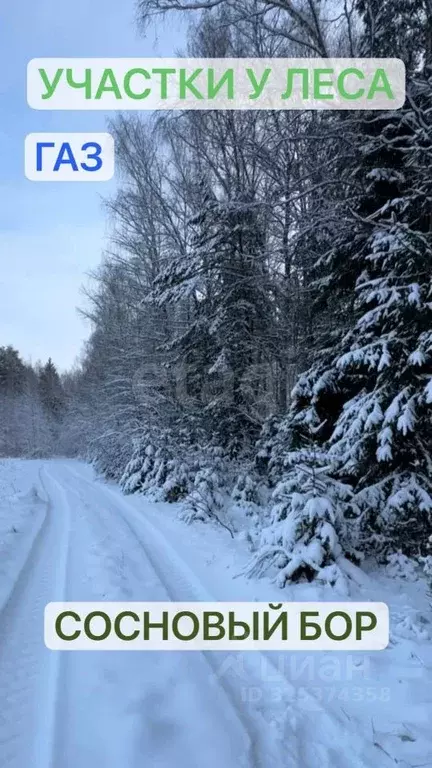 Участок в Костромская область, Красносельский район, Шолоховское ... - Фото 1