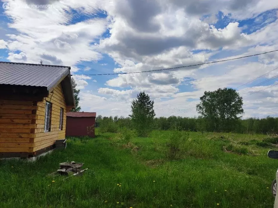 Участок в Новосибирская область, Коченёвский муниципальный район, ... - Фото 0
