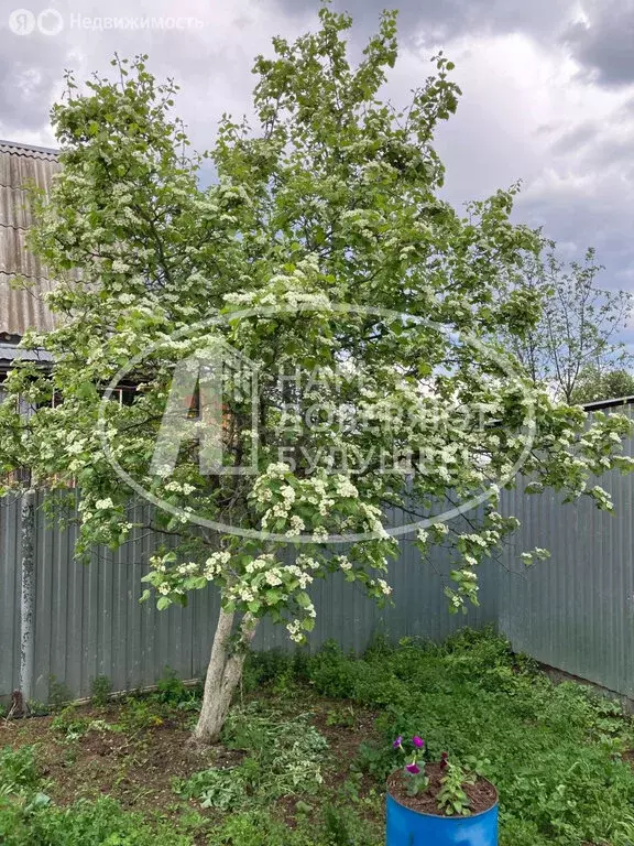 Дом в посёлок Новый, Береговая улица, 61 (49.6 м) - Фото 1