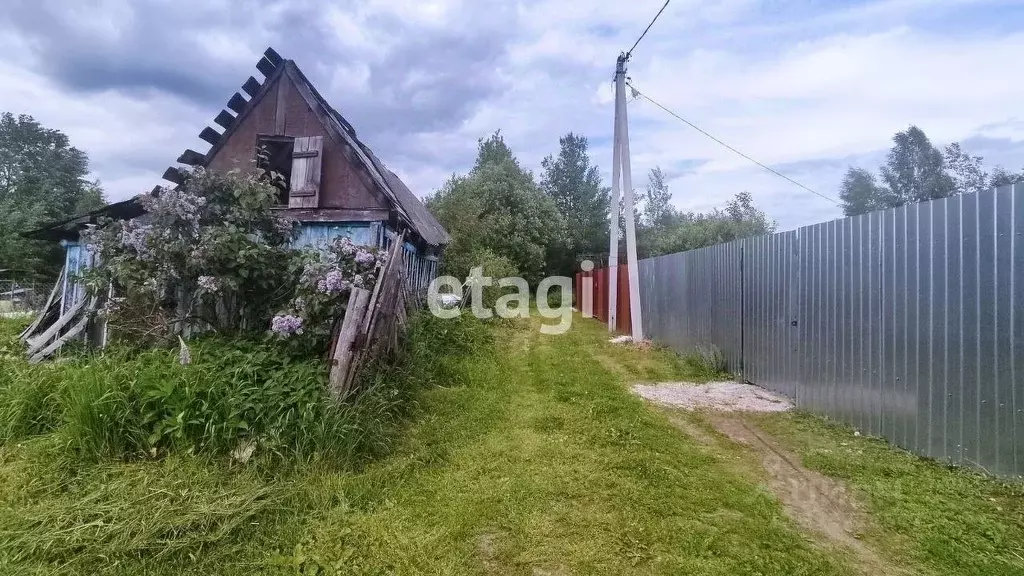 Участок в Владимирская область, Петушинский район, Пекшинское ... - Фото 1