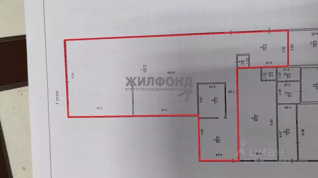 Торговая площадь в Новосибирская область, Новосибирск Софийская ул., ... - Фото 0