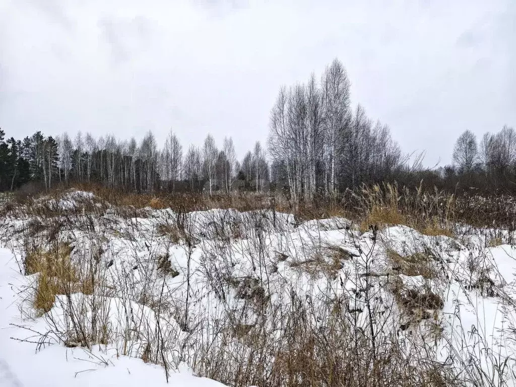 Участок в Тюменская область, Нижнетавдинский район, Березка СНТ  (8.3 ... - Фото 0