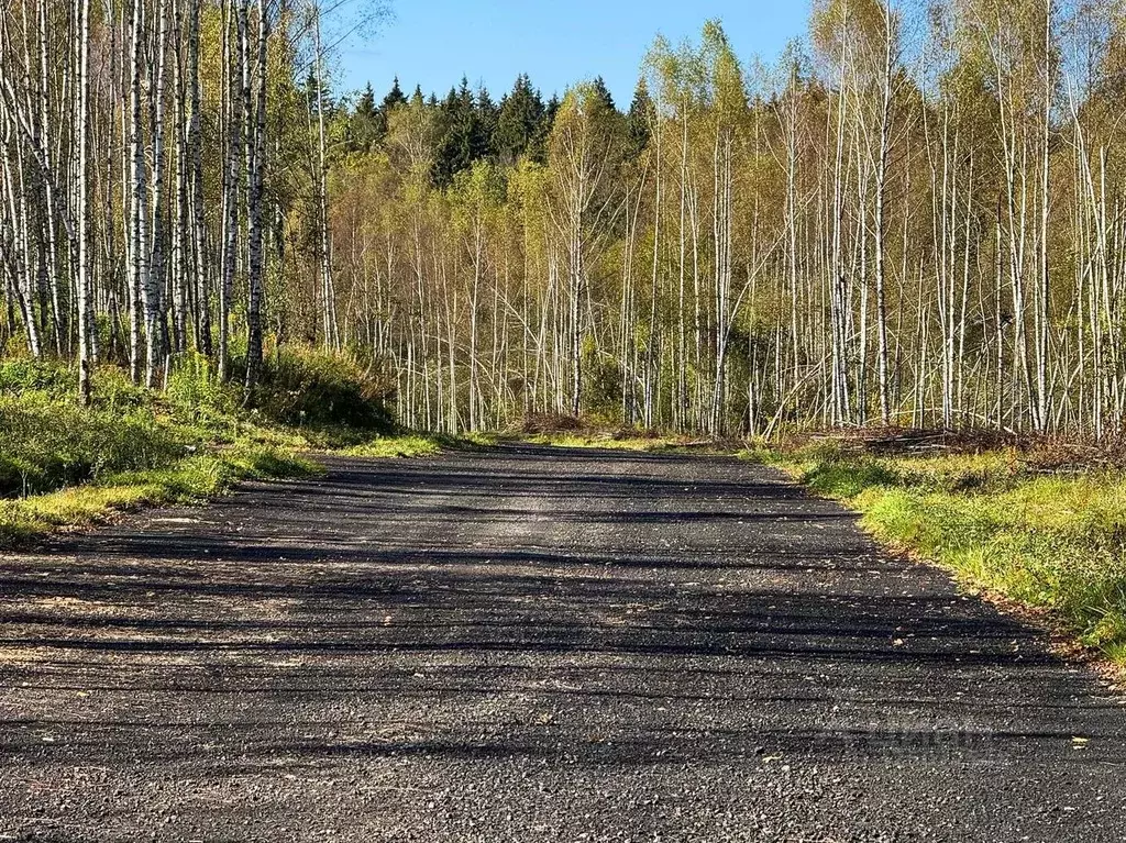 Участок в Московская область, Дмитровский муниципальный округ, Сбоево ... - Фото 1