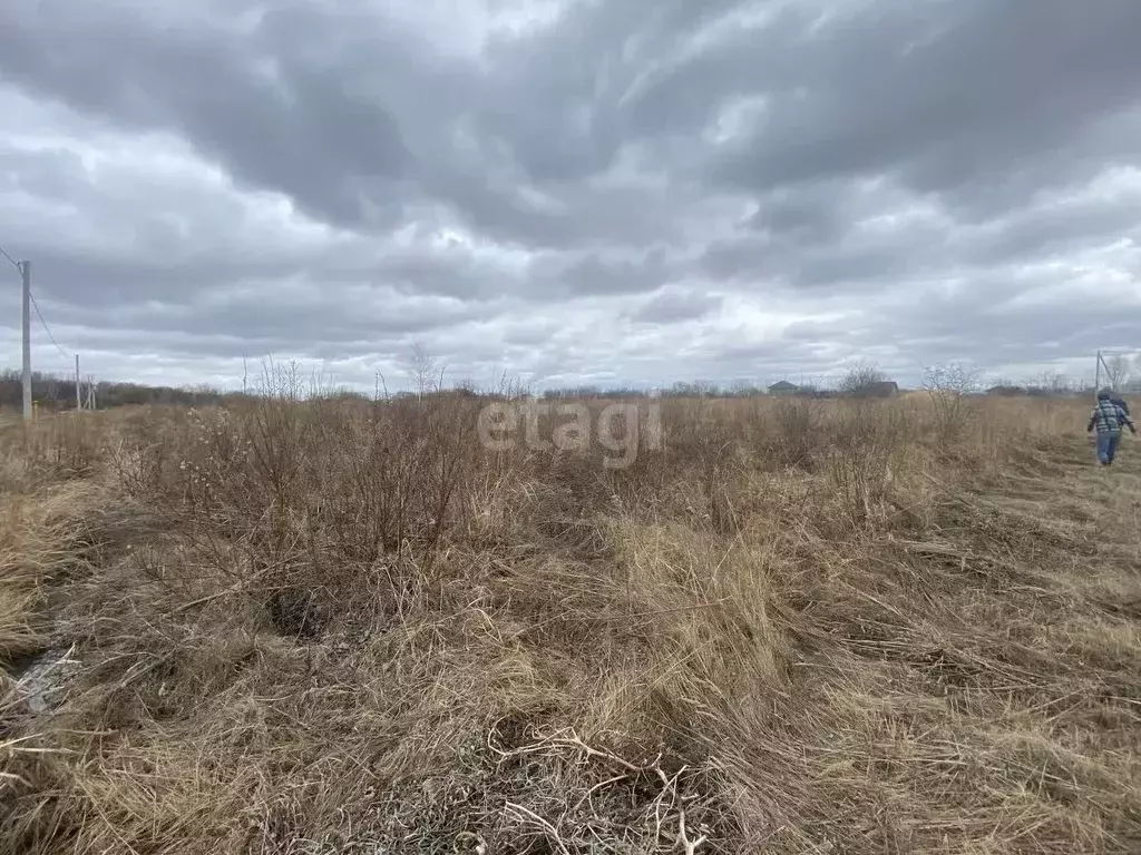 Участок в Хабаровский край, Хабаровск Виктория садовое товарищество, ... - Фото 1