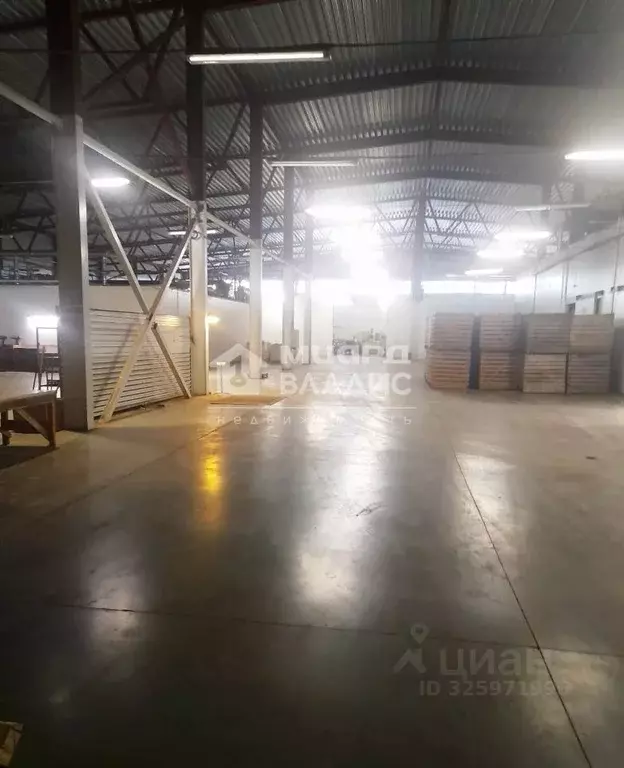 Склад в Омская область, Омский район, с. Дружино Сибирская ул., 2Б ... - Фото 2