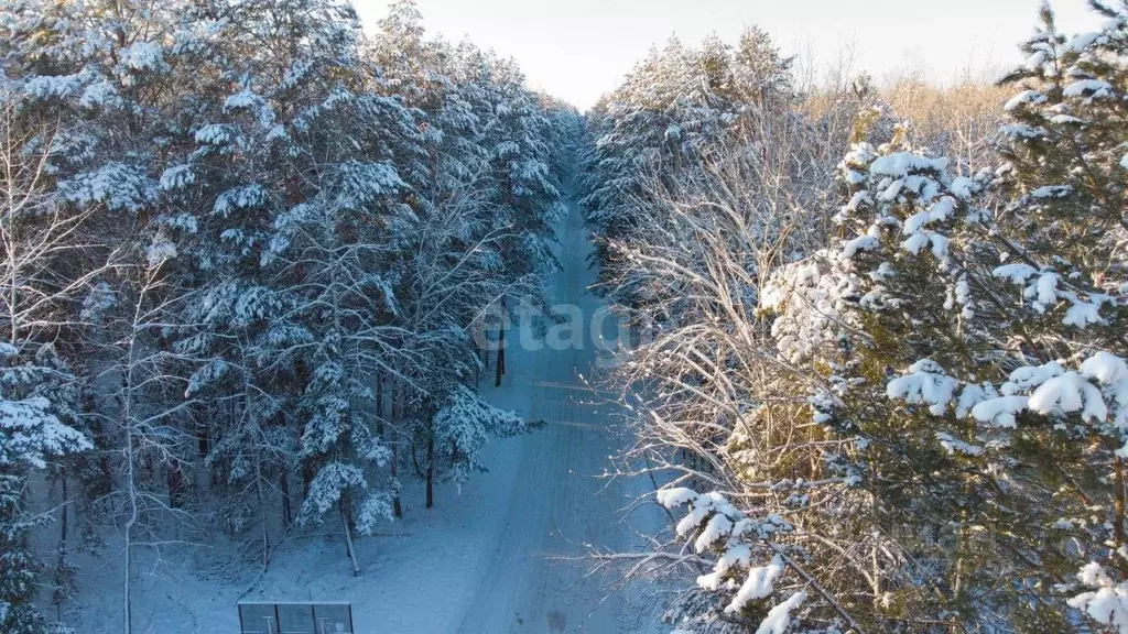 Участок в Тюменская область, Тюменский район, д. Криводанова  (50.1 ... - Фото 0