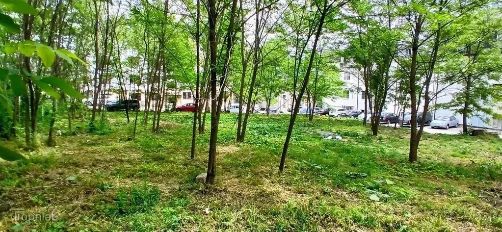 Участок в Кабардино-Балкария, Чегемский район, Осина СДТ ул. Рублевка, ... - Фото 2