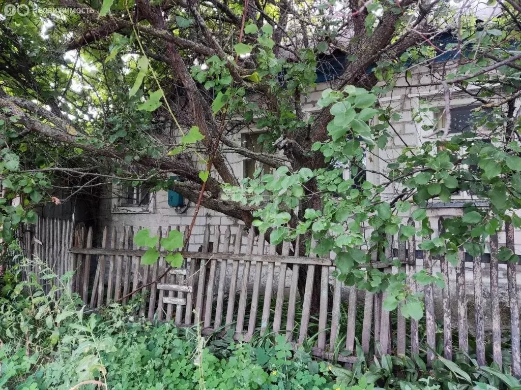 Дом в Белгородская область, городское поселение посёлок Чернянка, ... - Фото 2