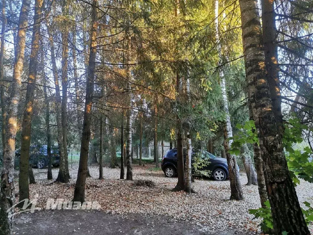 Продается дача в СНТ Луговина - Фото 2