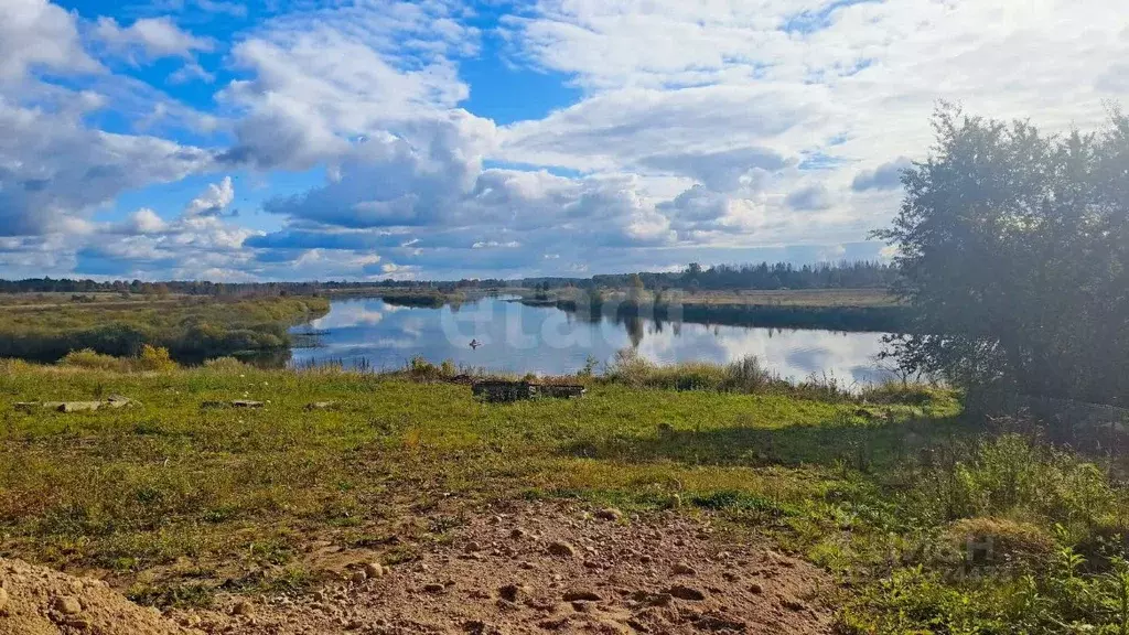 Участок в Псковская область, Островская волость, д. Городище ул. ... - Фото 1