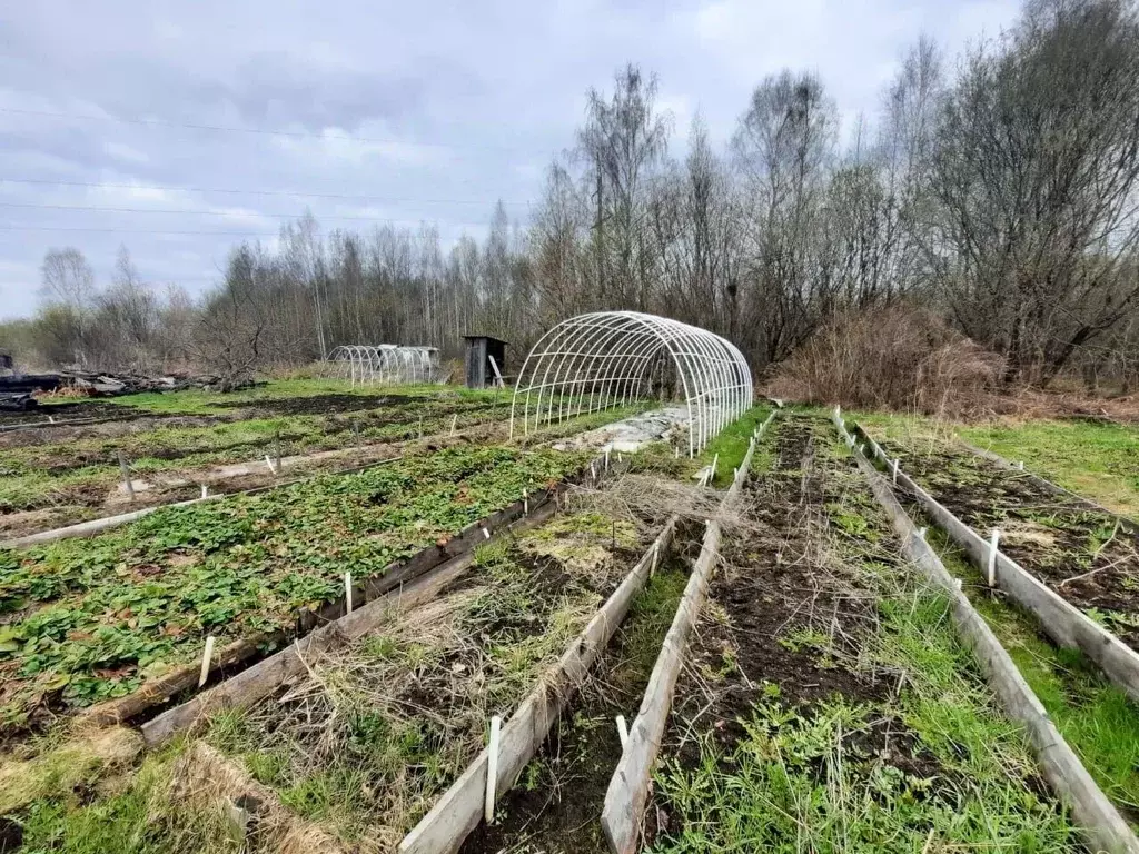 Купить участок Краснокамский район, Пермский край, продажа земельных  участков Краснокамский район, Пермский край недорого на AFY.ru