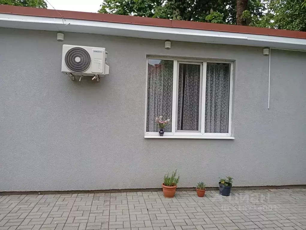 Студия Калининградская область, Зеленоградск Крымская ул., 6А (32.0 м) - Фото 1