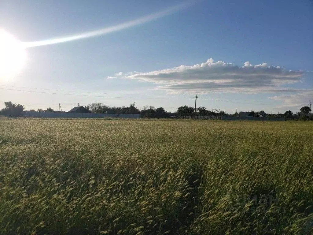 Участок в Крым, Ленинский район, Мысовское с/пос, с. Заводское ул. ... - Фото 1