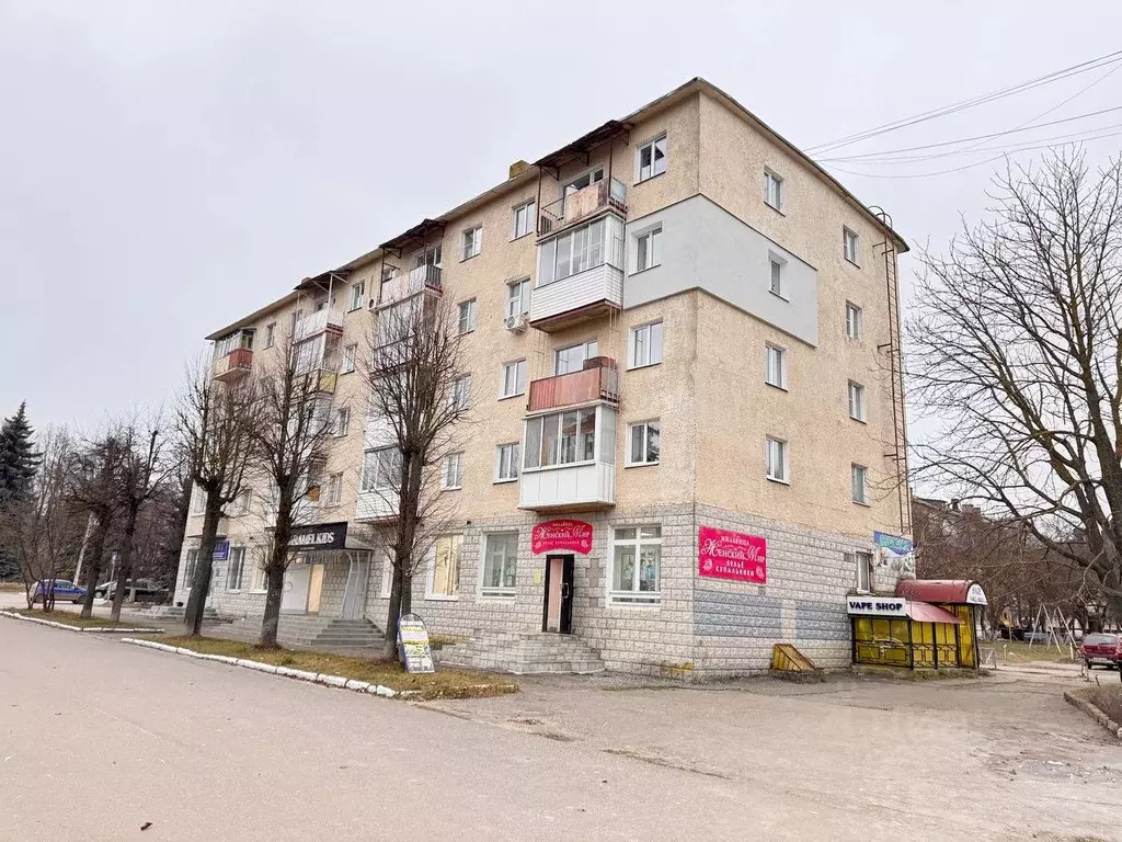 3-к кв. Владимирская область, Кольчугино пл. Ленина, 1/2 (55.2 м) - Фото 1