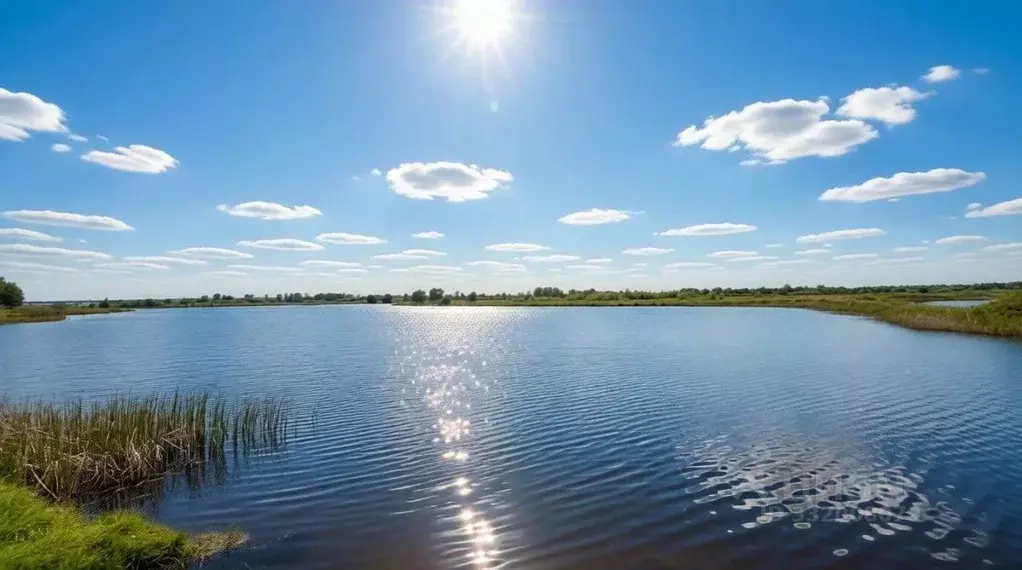 Дом в Московская область, Коломна городской округ, с. Городец ул. ... - Фото 1