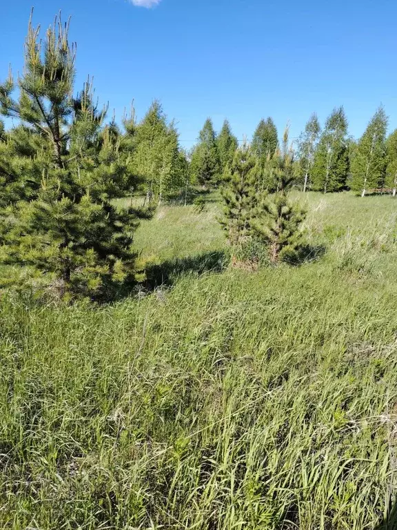 Участок в Челябинская область, Чебаркульский район, Непряхинское с/пос ... - Фото 1