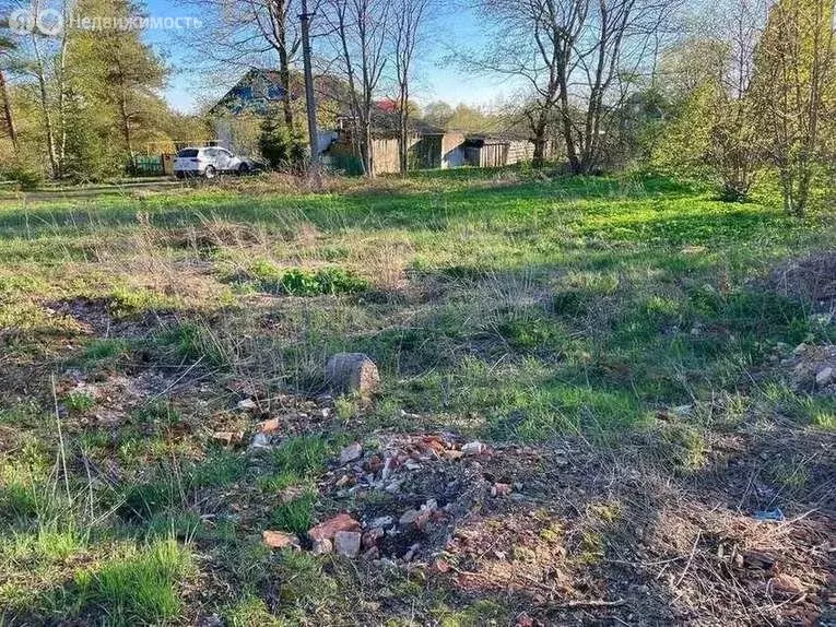 Участок в Новгородский район, Бронницкое сельское поселение, село ... - Фото 0