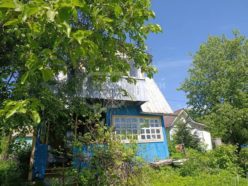 Дом в Владимирская область, Владимир Добросельская ул., 230 (36 м) - Фото 0