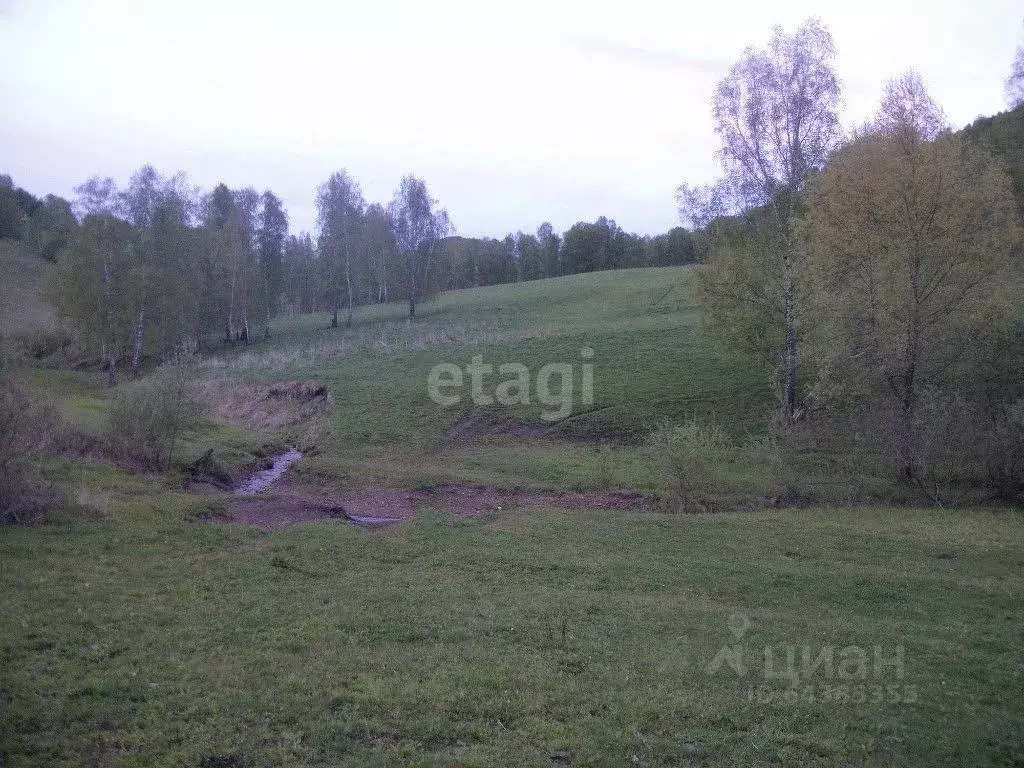 Участок в Алтайский край, Алтайский район, с. Нижнекаянча  (847.0 ... - Фото 1