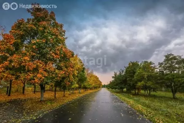 Участок в Татищевский район, Вязовское муниципальное образование, село ... - Фото 1