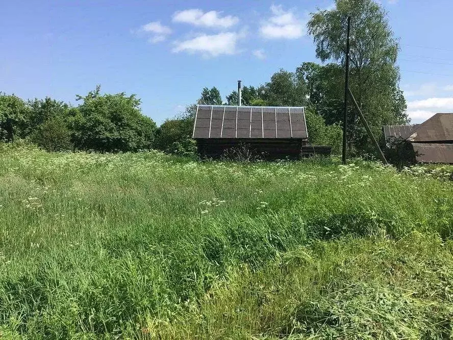 Участок в Вологодская область, Грязовецкий муниципальный округ, д. ... - Фото 2