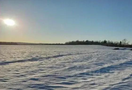Участок в Московская область, Дмитровский муниципальный округ, д. ... - Фото 1