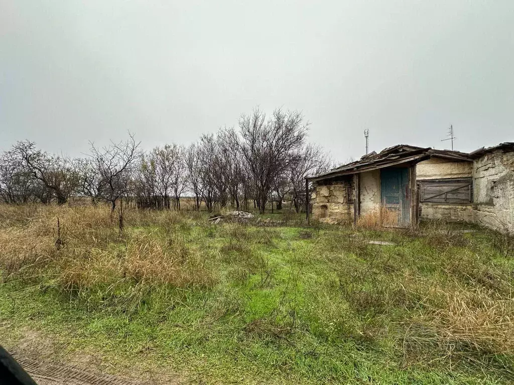 Участок в Крым, Кировский район, с. Приветное ул. Партизанская, 56/1 ... - Фото 1