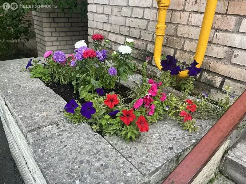 3-комнатная квартира: Сестрорецк, улица Токарева, 8 (97 м) - Фото 1