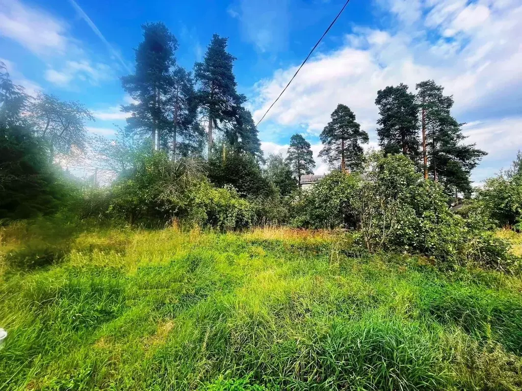 Участок в Ленинградская область, Гатчинский район, Вырица городской ... - Фото 0