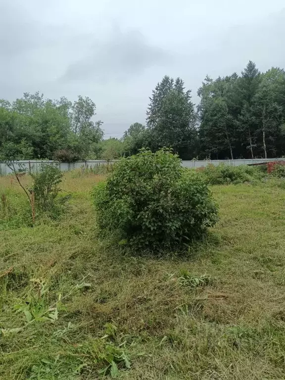 Дом в Сахалинская область, Поронайский городской округ, с. Восток ул. ... - Фото 1