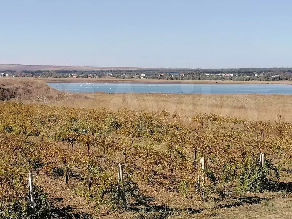 Участок 1,83 га (СНТ, ДНП) - Фото 1