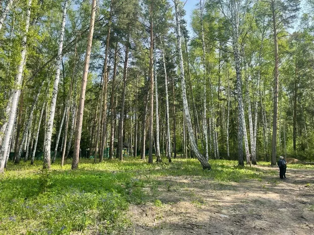 Участок, 10 сот., сельхоз (снт или днп) - Фото 0