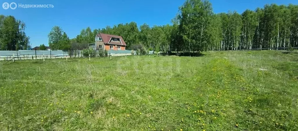 Участок в Миасский городской округ, село Новоандреевка (6.2 м) - Фото 2
