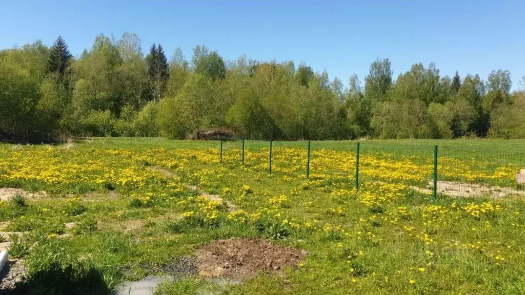 Участок в Ленинградская область, Тосненский район, Любанское городское ... - Фото 1