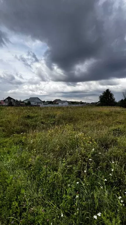 Участок в Владимирская область, Александровский муниципальный округ, ... - Фото 1