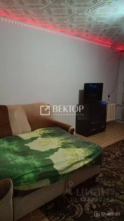 1-к кв. Ивановская область, Ивановский район, Куликовское с/пос, д. ... - Фото 1