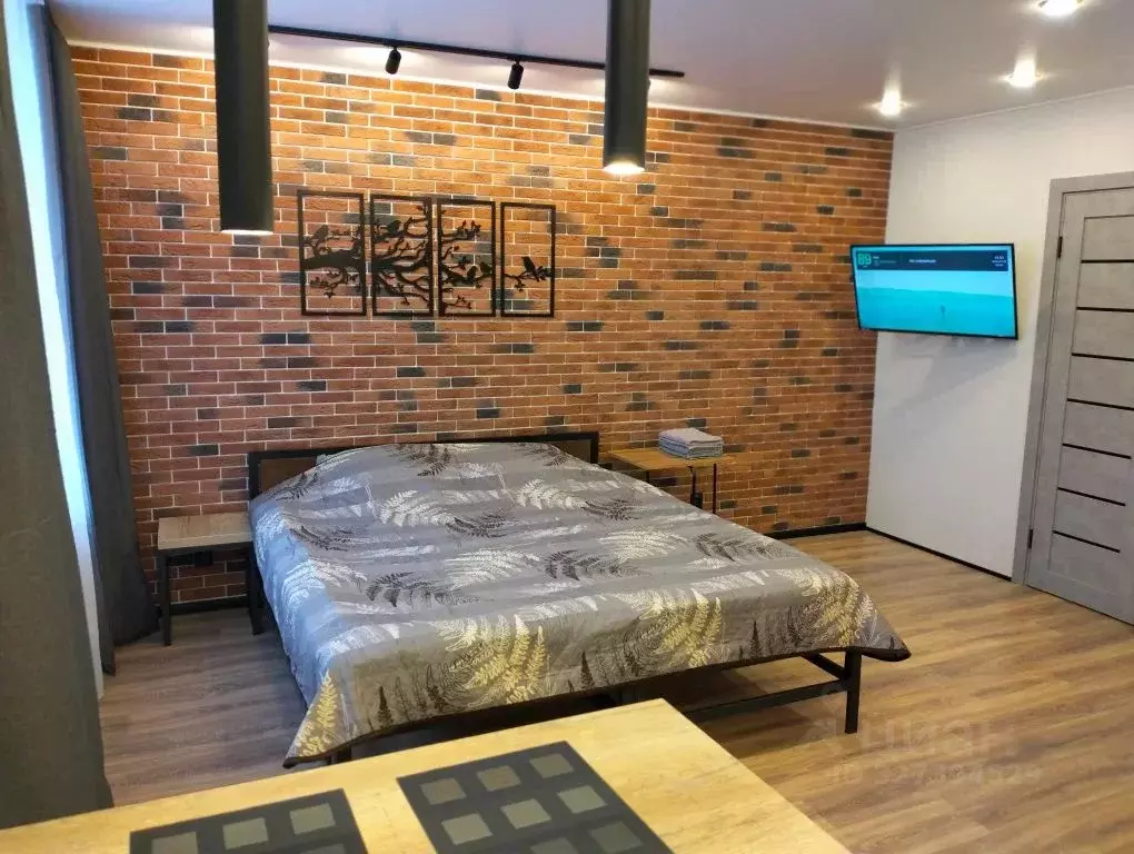 Студия Ленинградская область, Сланцы ул. Чкалова, 14 (30.0 м) - Фото 2