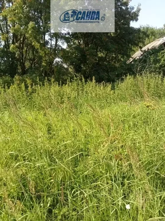 Участок в Тверская область, Калининский муниципальный округ, с. ... - Фото 1