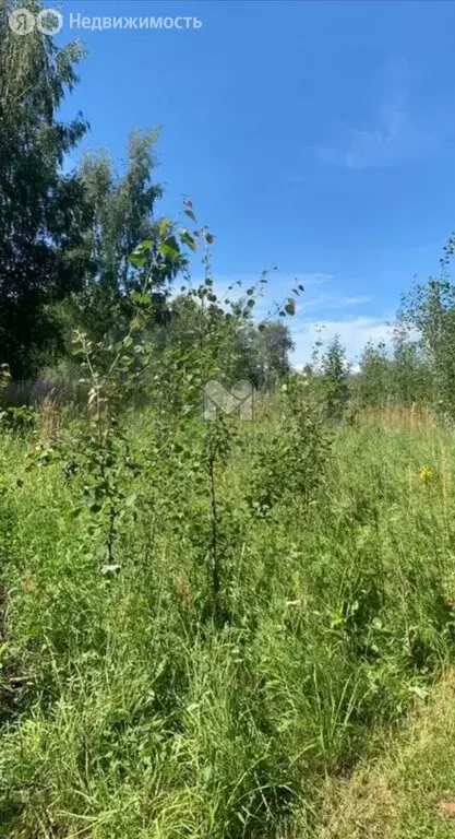 Участок в Гдовский район, Добручинская волость, СНТ Здоровье (10 м) - Фото 0