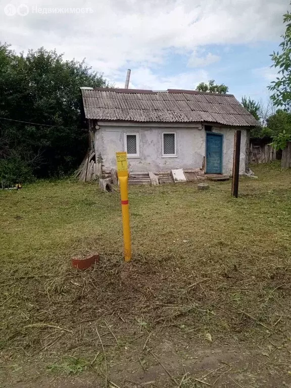 Дом в Грязинский район, Фащёвский сельсовет, деревня Писаревка (40 м) - Фото 0