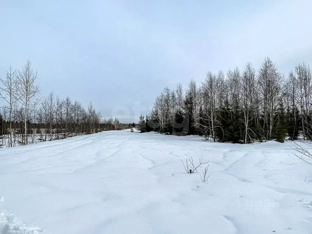 Участок в Ленинградская область, Гатчинский муниципальный округ, ... - Фото 1