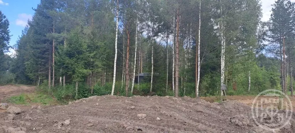 Участок в Ленинградская область, Всеволожский район, Лесколовское ... - Фото 1
