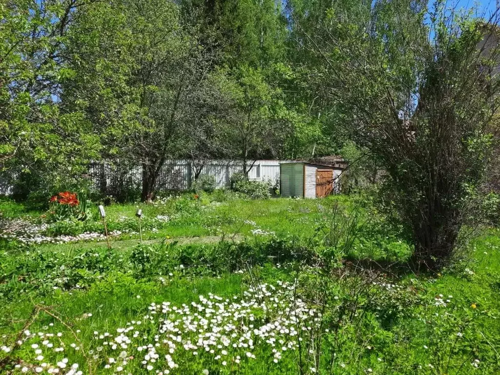 Участок в Московская область, Солнечногорск городской округ, Березка ... - Фото 0