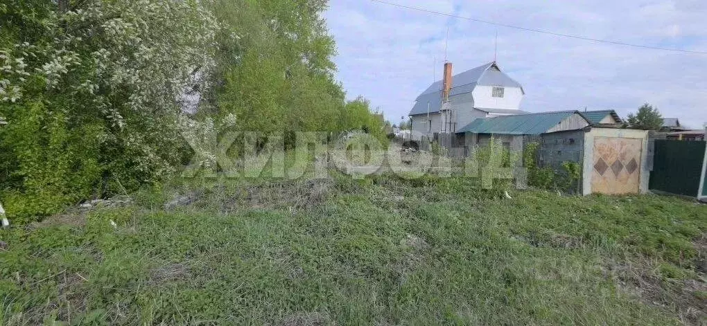 Участок в Новосибирская область, Новосибирский район, с. Толмачево ... - Фото 1