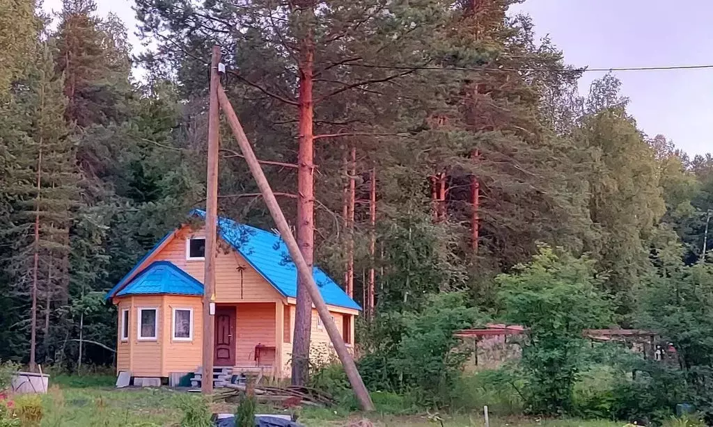 Дом в Карелия, Прионежский район, с. Деревянное ул. Савкины Поля, 3 ... - Фото 0